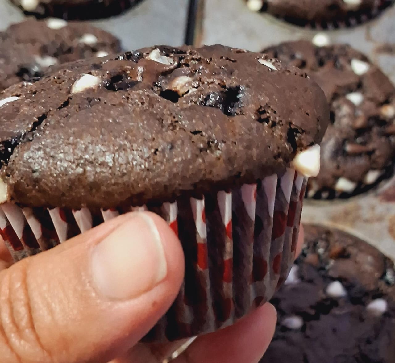 Classic Brownie